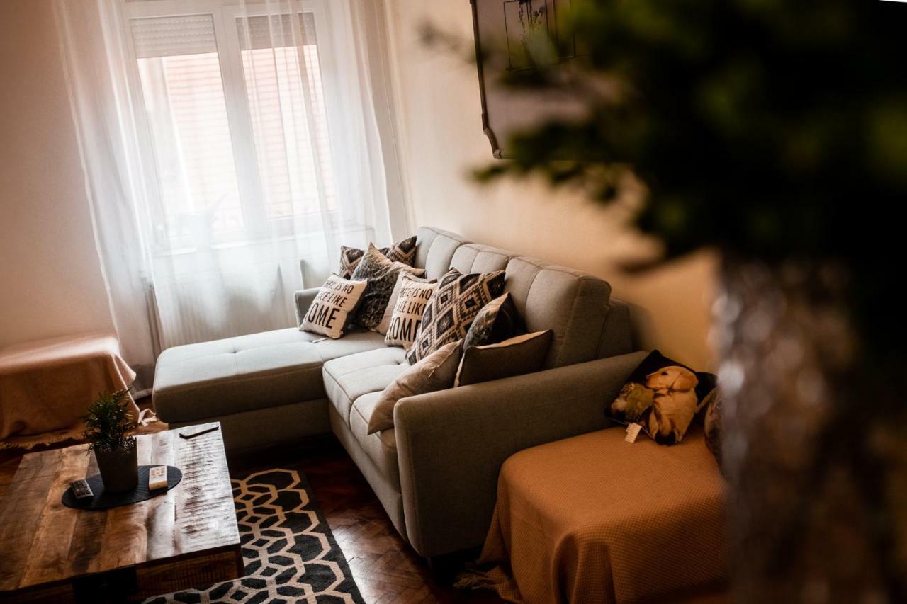 Art Downtown Alecsandri St Luxury Apartment Oradea Luaran gambar